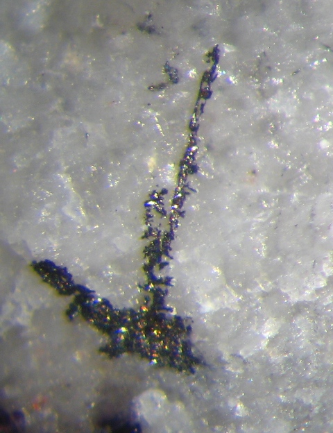 Pavonite