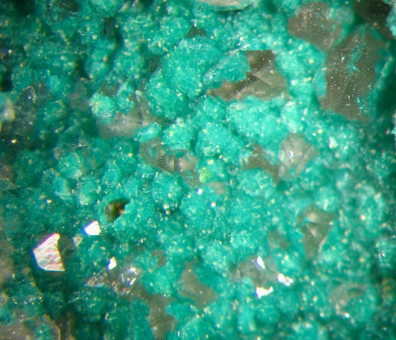 Reichenbachite