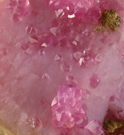 Rose Quartz