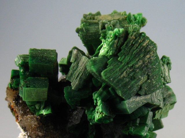 Metatorbernite