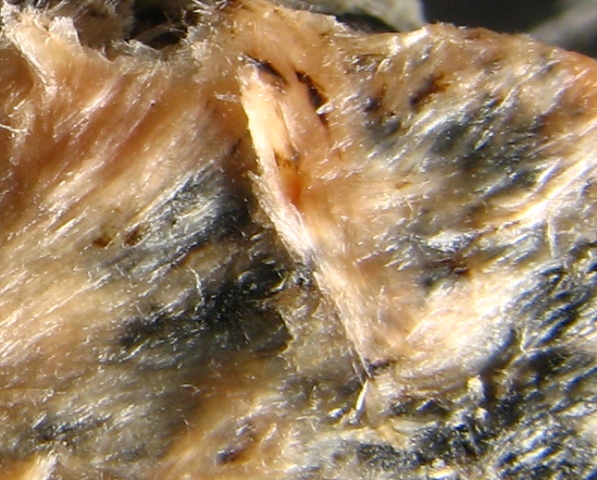 Yuksporite