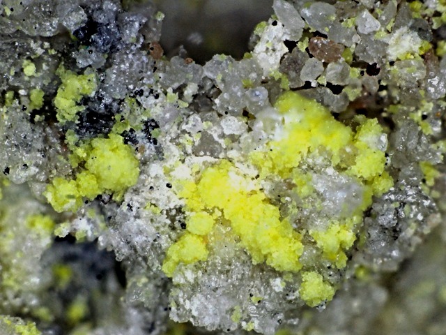 Bayleyite