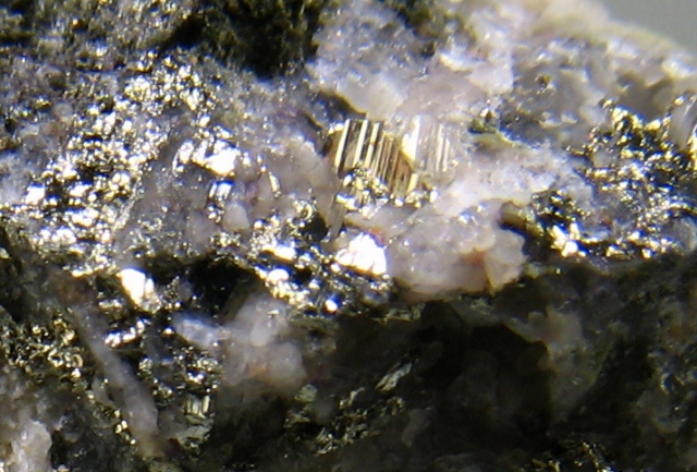 Calaverite