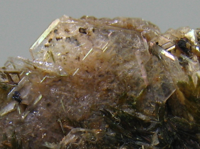 Catapleiite