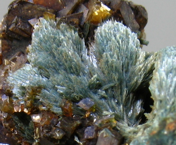 Gormanite