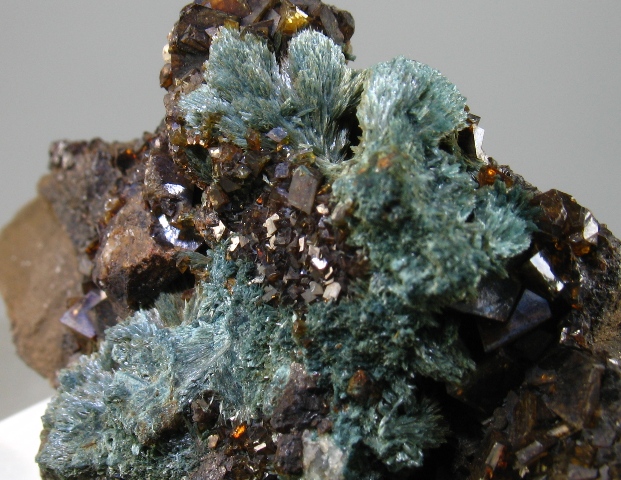 Gormanite