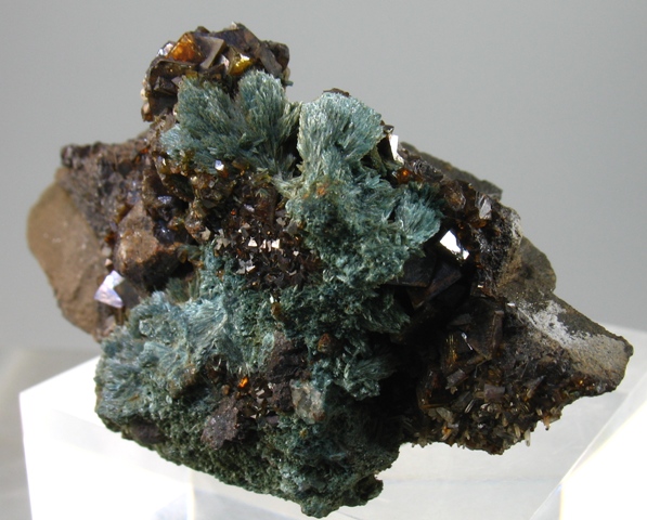 Gormanite