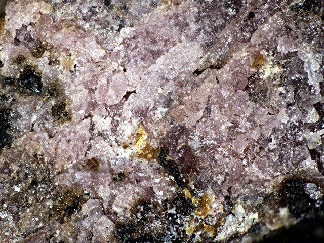 Holdenite & Chlorophoenicite