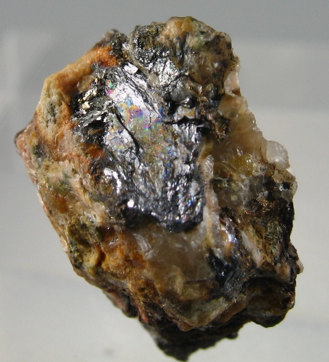 Lautite