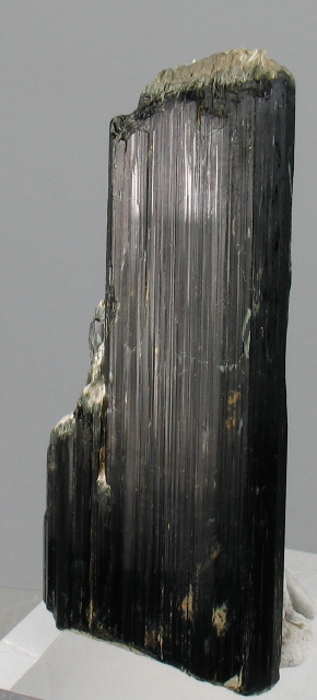 Magnesio-hornblende