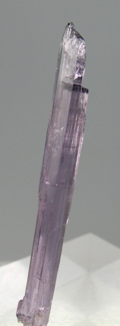 Scapolite