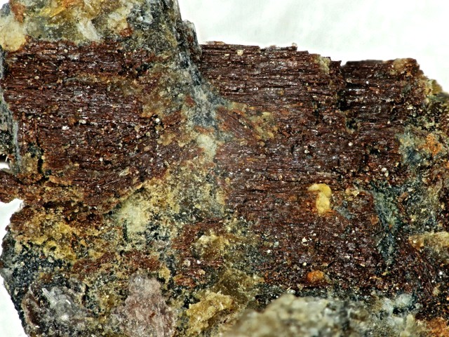 Ershovite