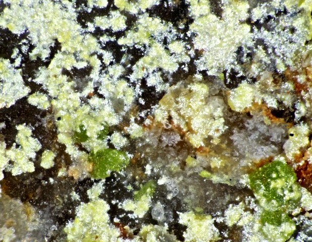 Schmitterite Psm Moctezumite