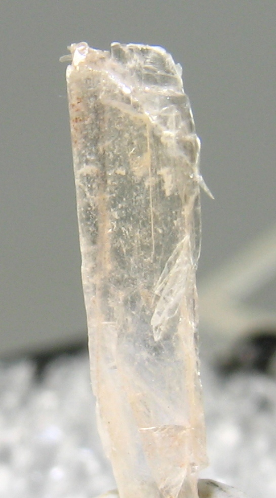 Leiteite