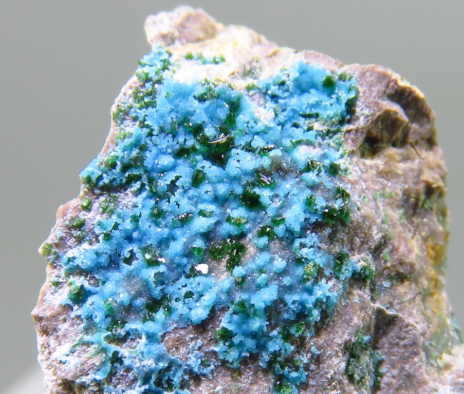 Turquoise & Libethenite