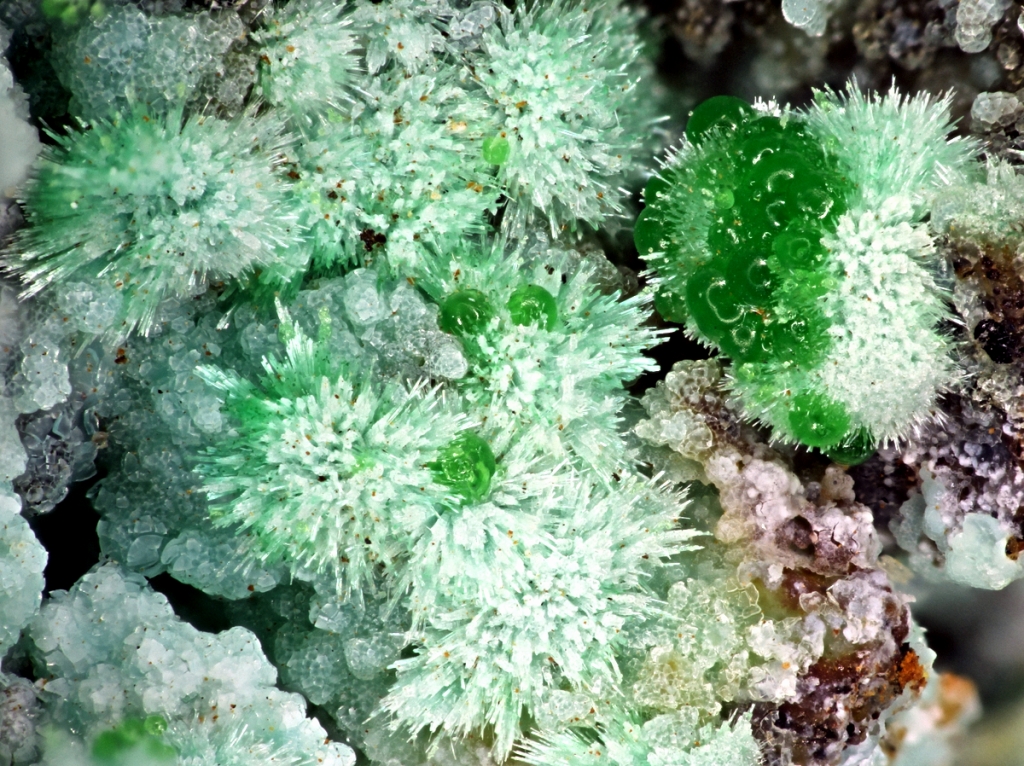 Agardite-(Nd) & Conichalcite