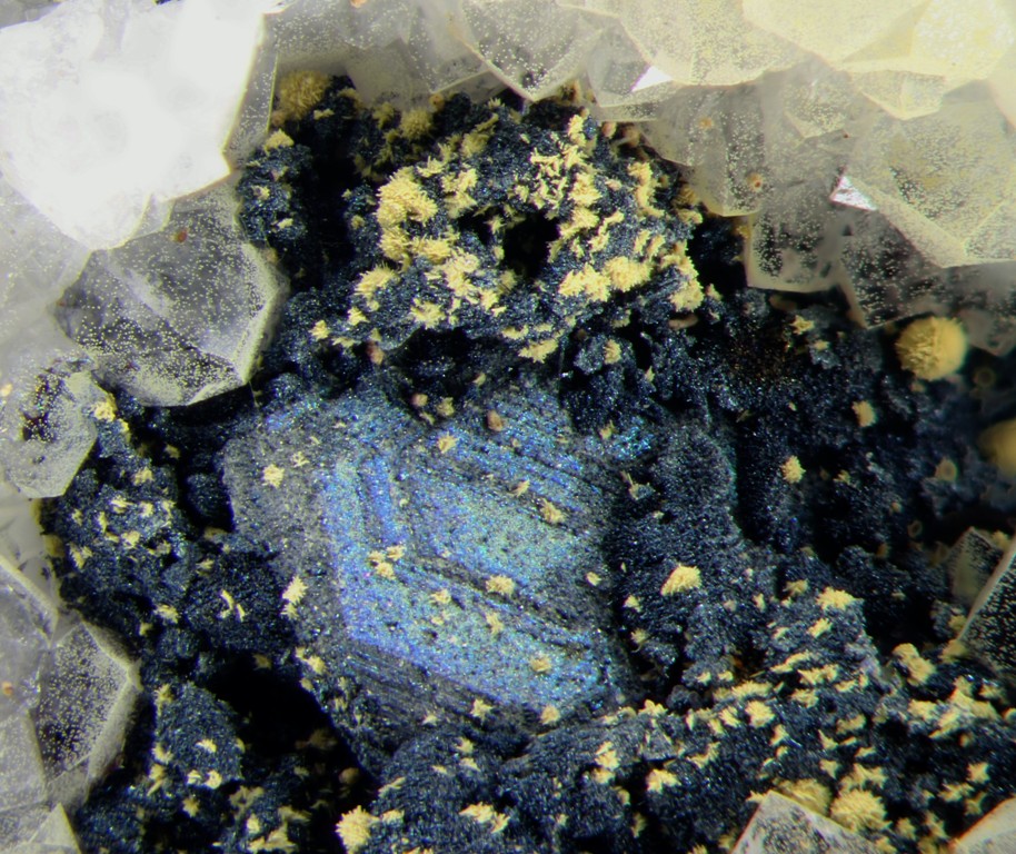 Cervantite & Polybasite-Tac