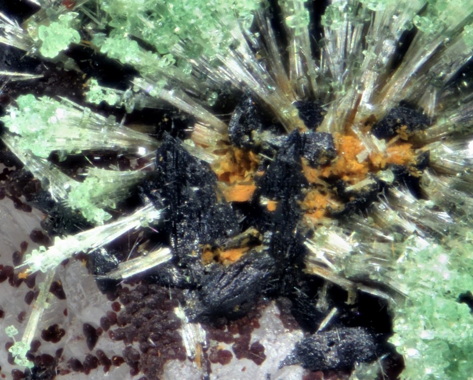 Lipscombite Chalcosiderite & Kidwellite