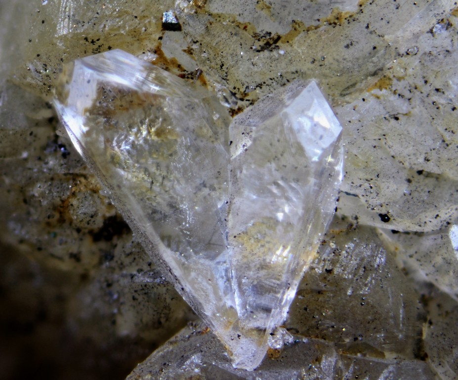 Whewellite