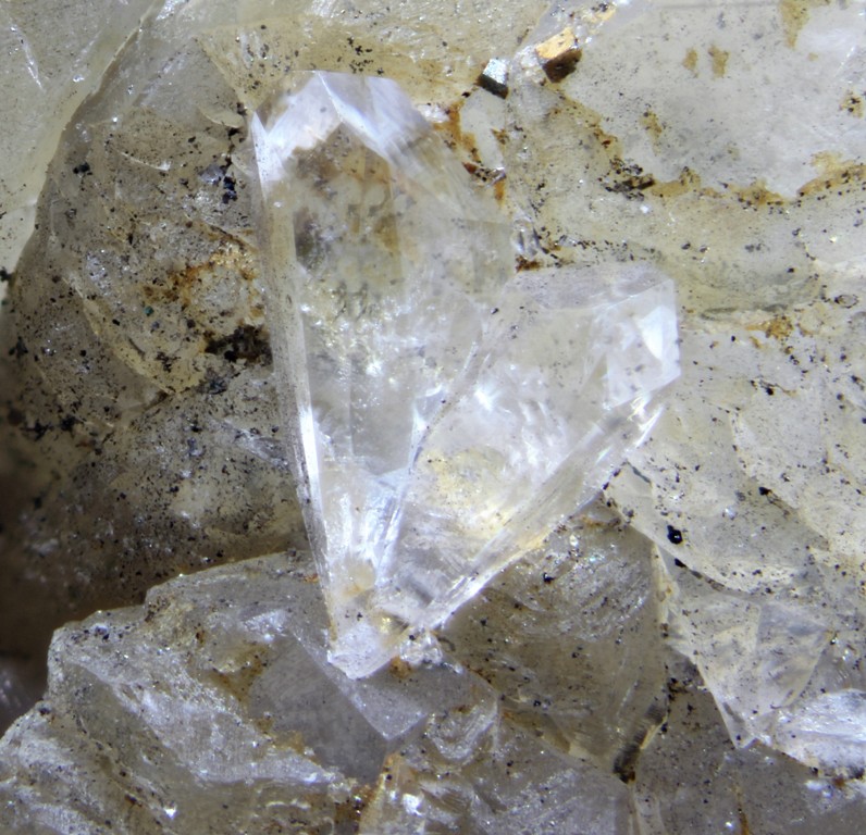 Whewellite