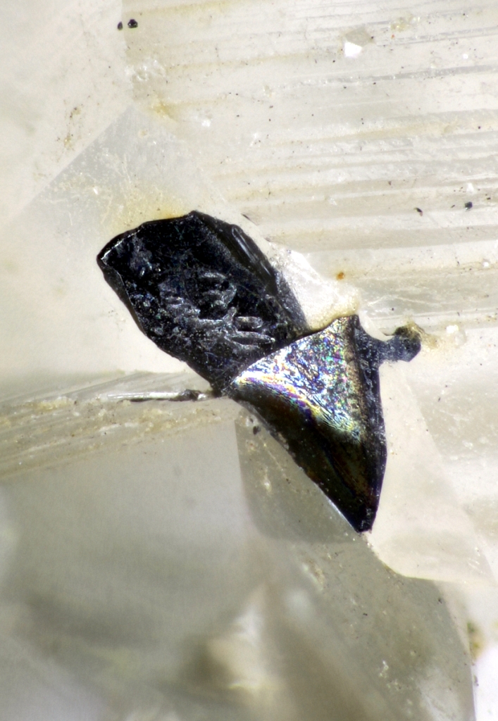 Gramaccioliite-(Y)