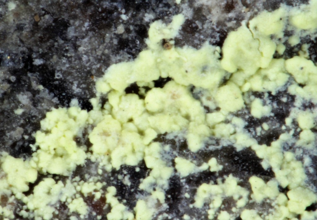 Iriginite