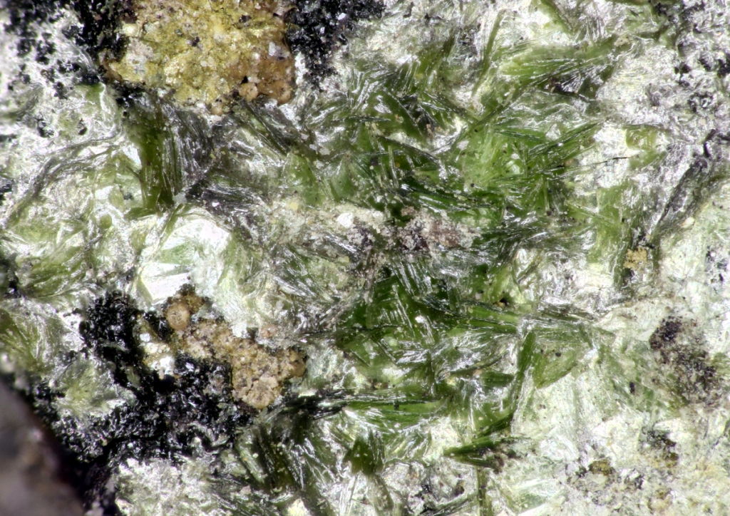 Phosphovanadylite-Ca & Sincosite