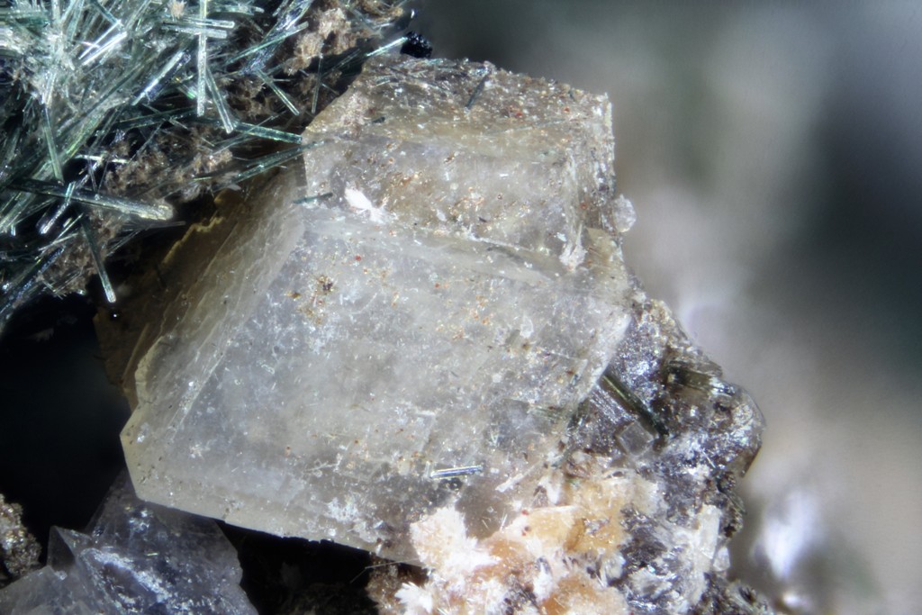 Sazykinaite-(Y) Lemmleinite-K Sitinakite & Umbite