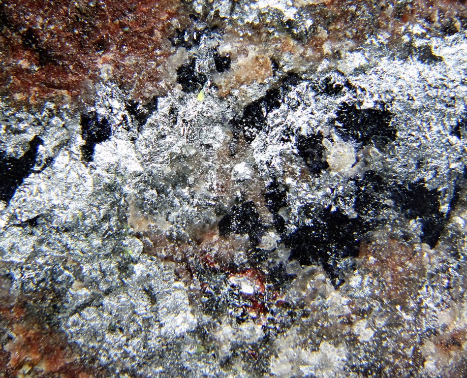 Rammelsbergite