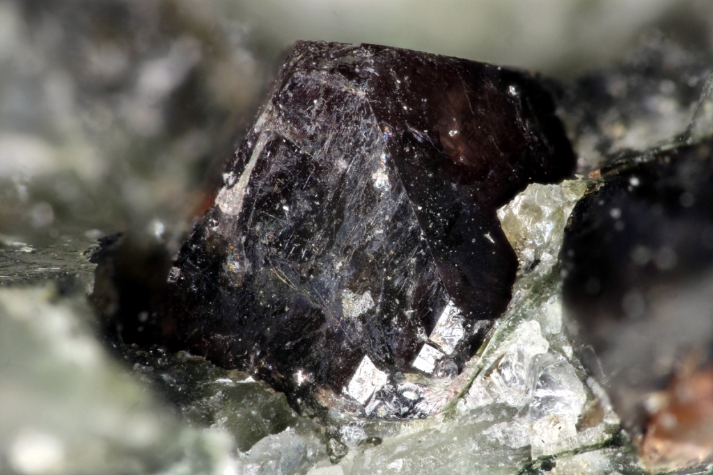 Manganoeudialyte