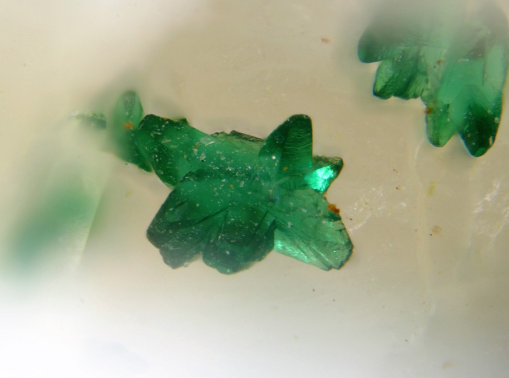 Cornwallite & Agardite-(Ce)