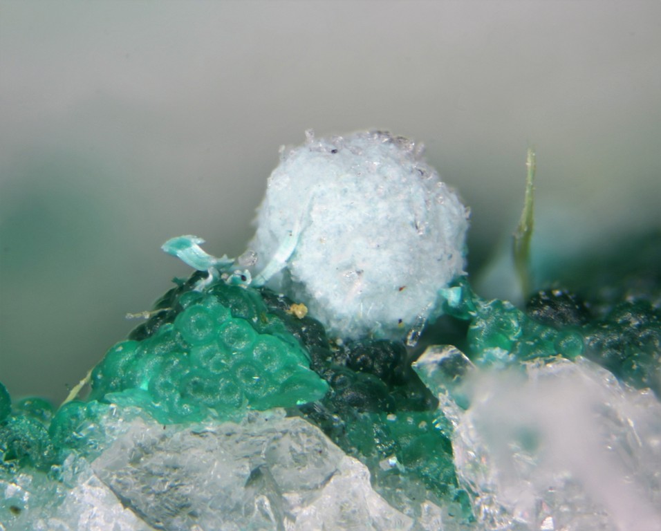 Strashimirite Cornwallite & Agardite-(Ce)