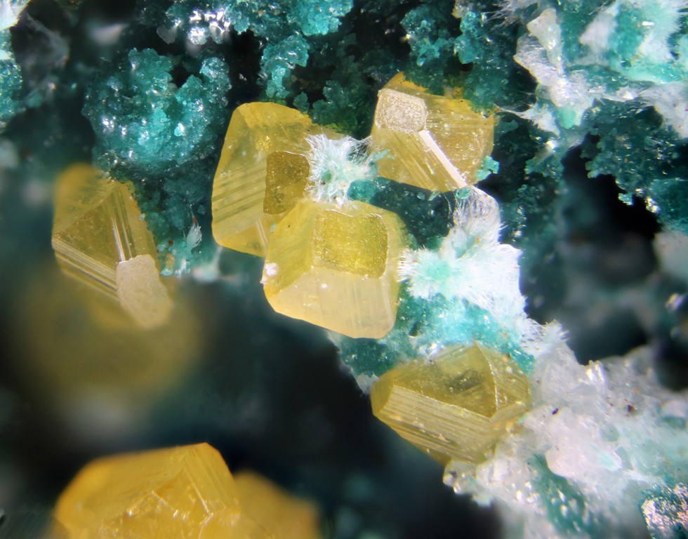 Herbertsmithite Zincrosasite & Wulfenite