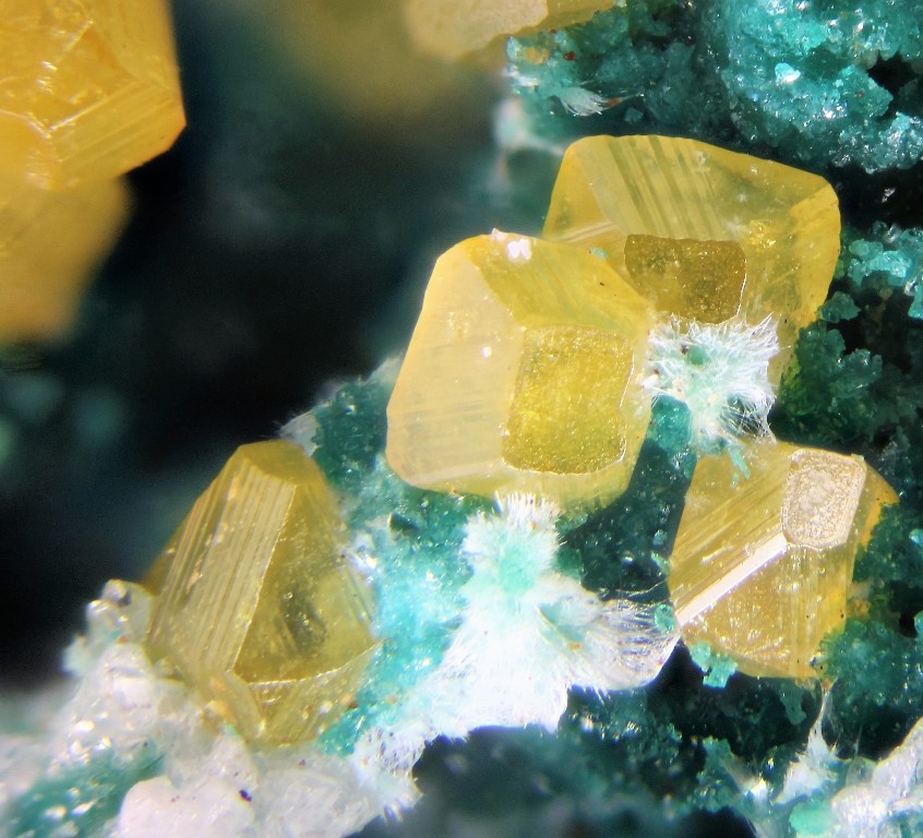 Herbertsmithite Zincrosasite & Wulfenite