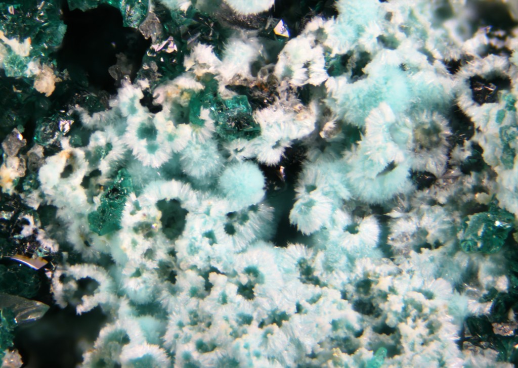 Herbertsmithite Zincrosasite & Wulfenite