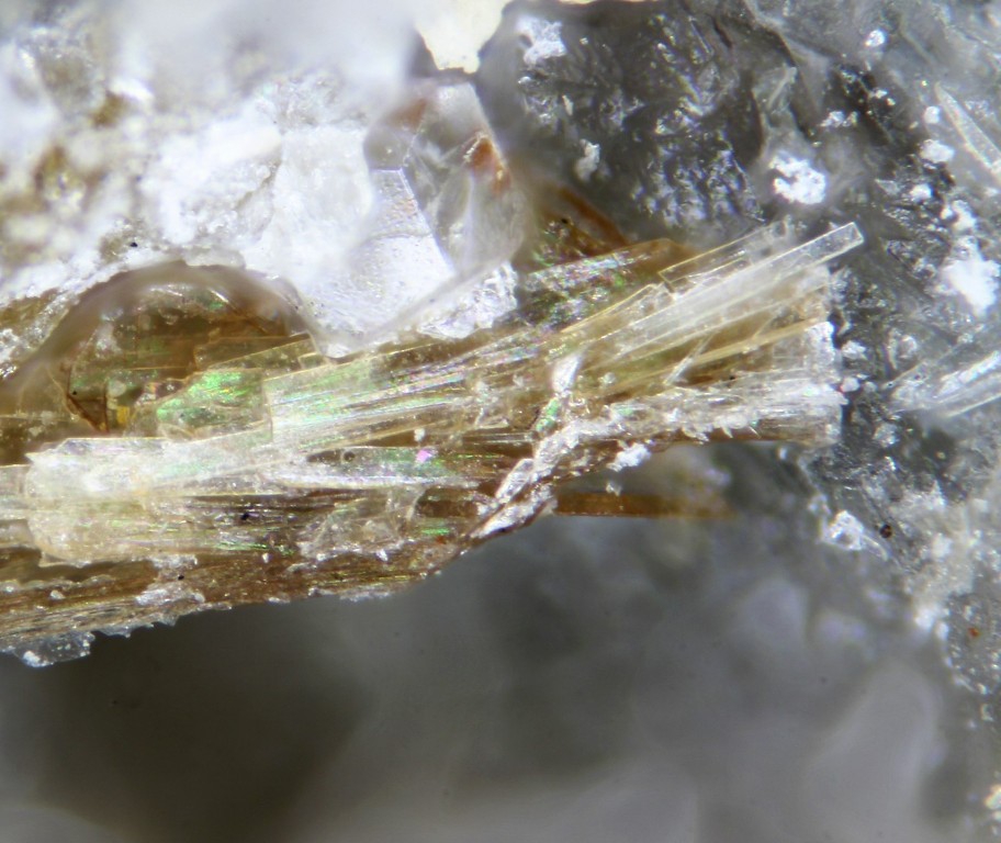 Ciprianiite