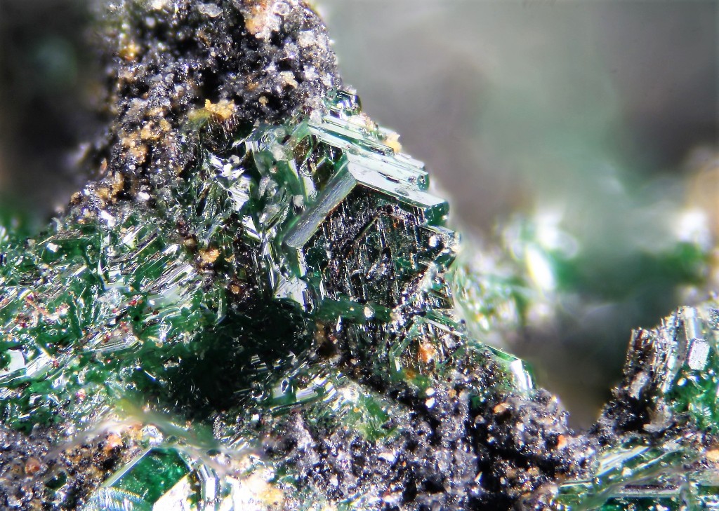 Starovaite Cupromolybdite & Lammerite