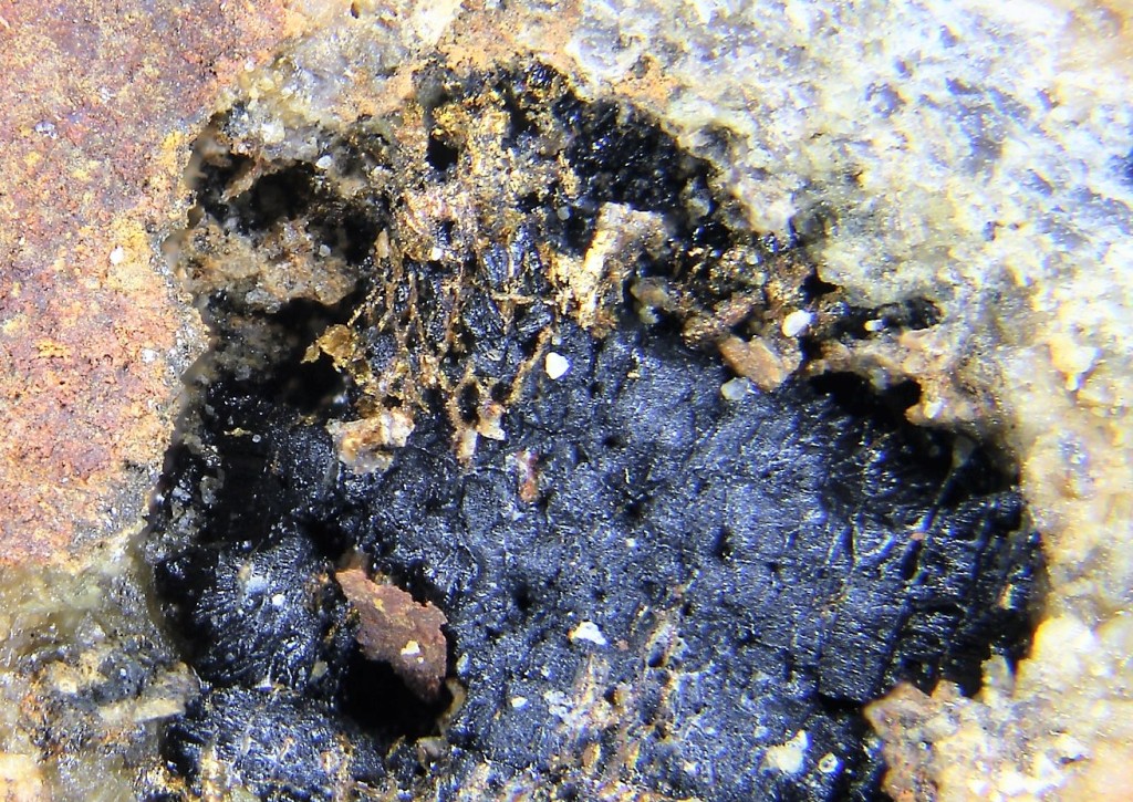 Native Gold & Uraninite