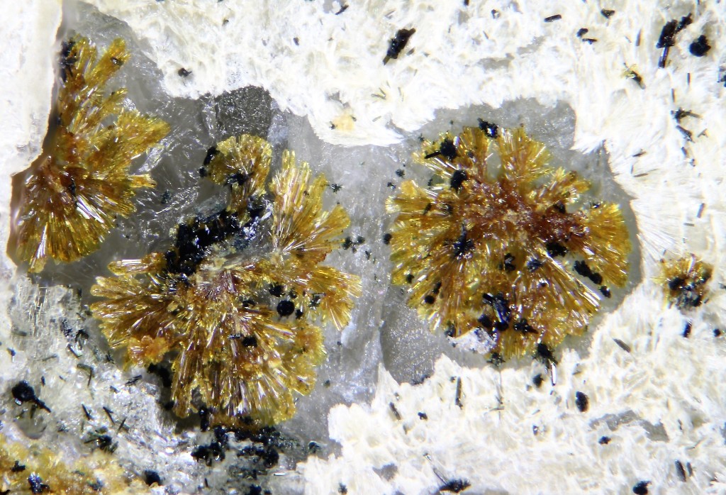 Earlshannonite