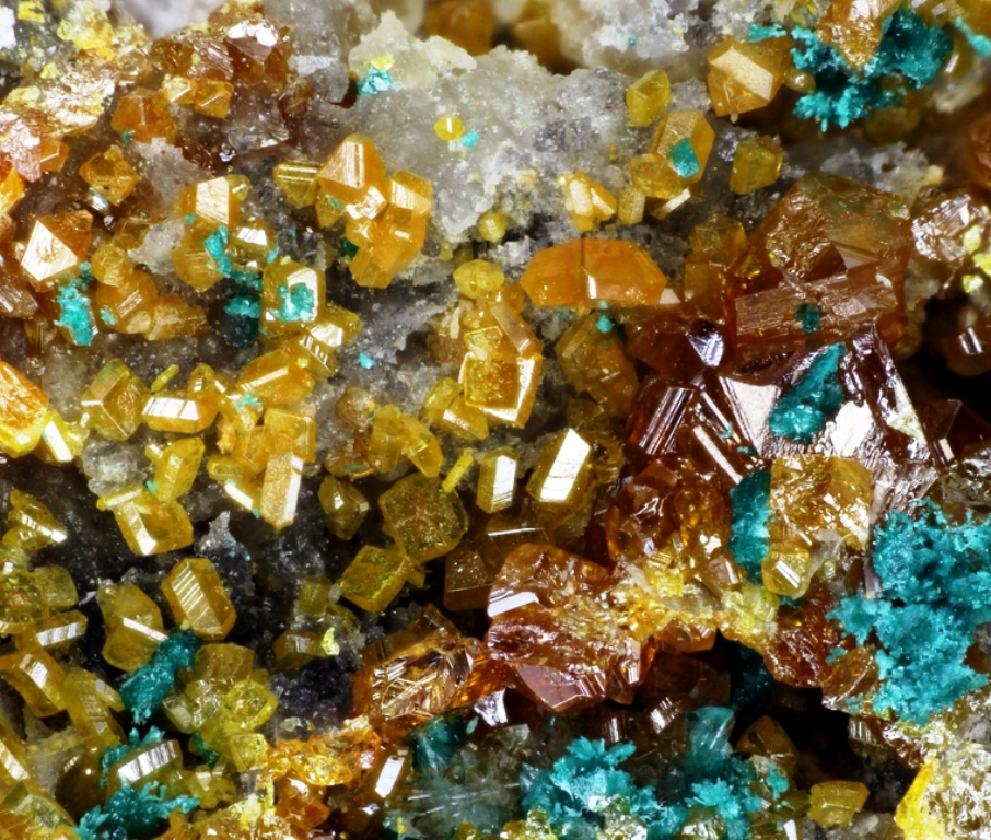 Herbertsmithite & Wulfenite