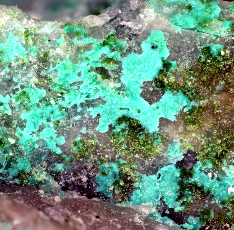 Aktashite & Tlapallite