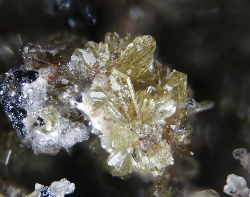 Badalovite