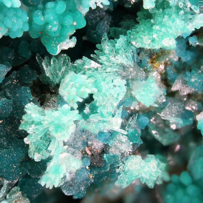 Kipushite Reichenbachite & Pseudomalachite