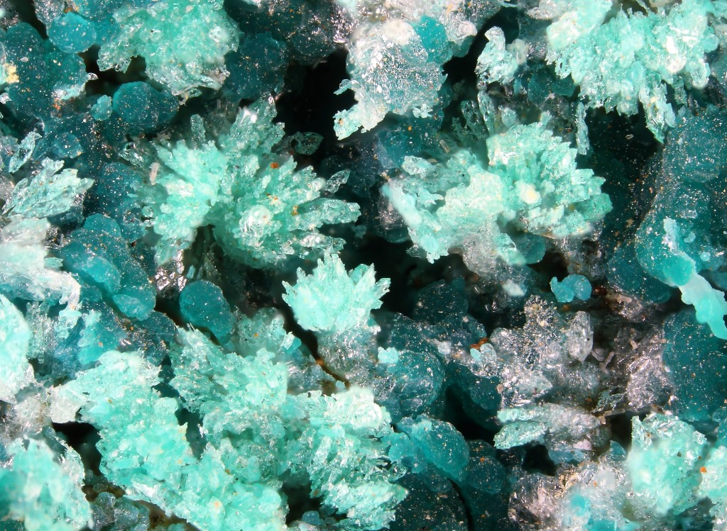 Kipushite Reichenbachite & Pseudomalachite