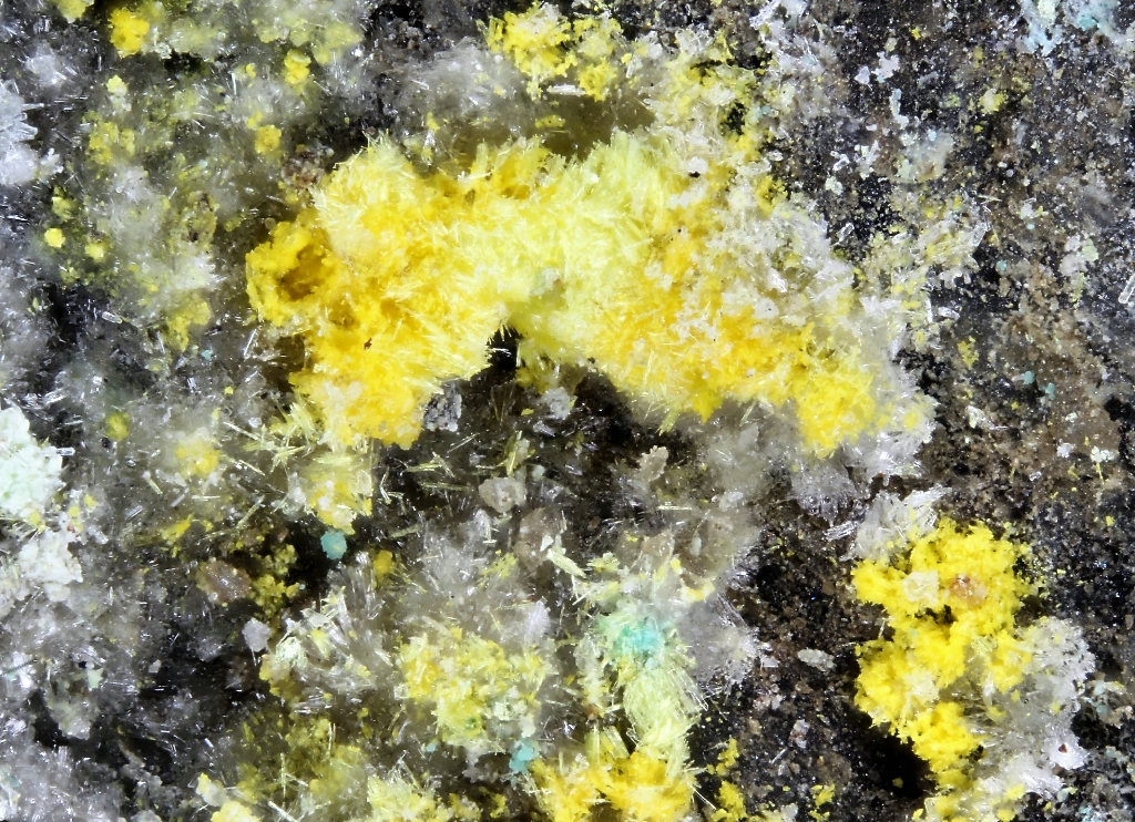 Alwilkinsite-(Y)