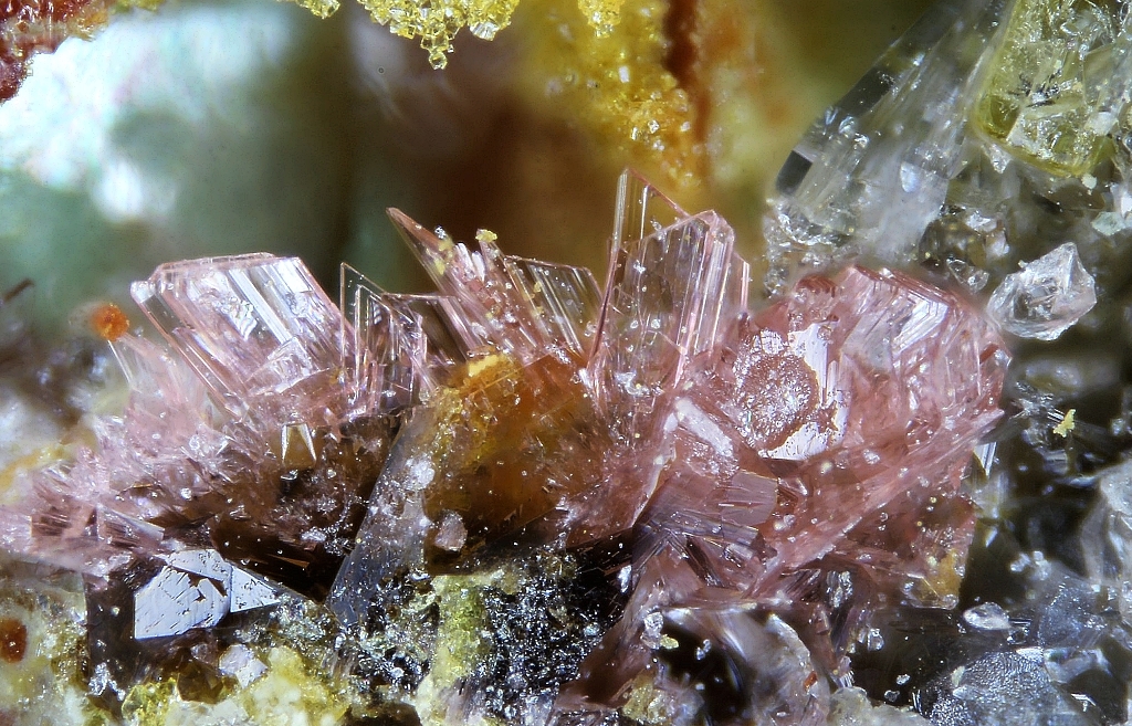 Erythrite Metanováčekite & Gersdorffite