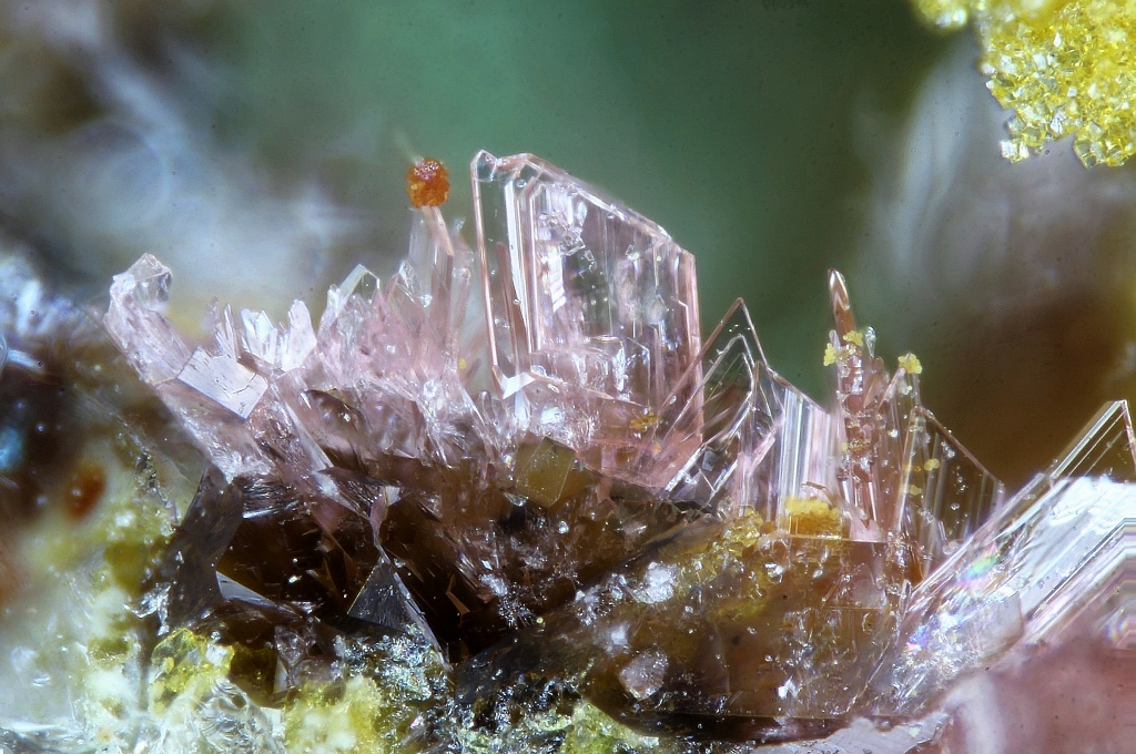 Erythrite Metanováčekite & Gersdorffite