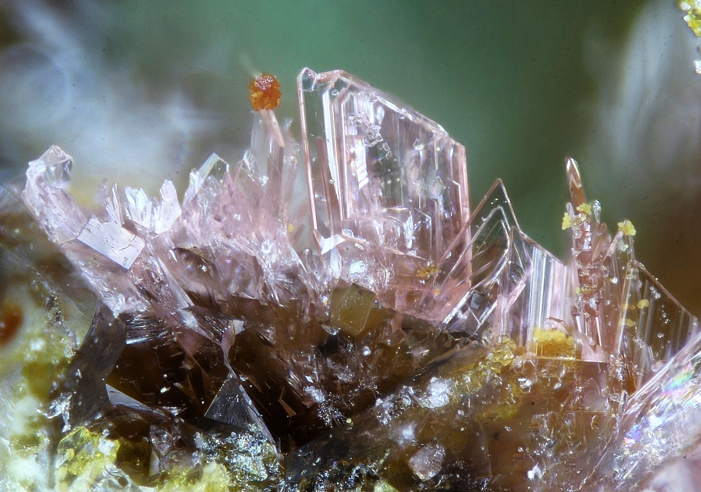 Erythrite Metanováčekite & Gersdorffite