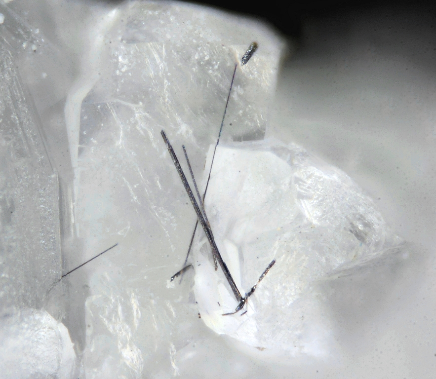 Bernarlottiite