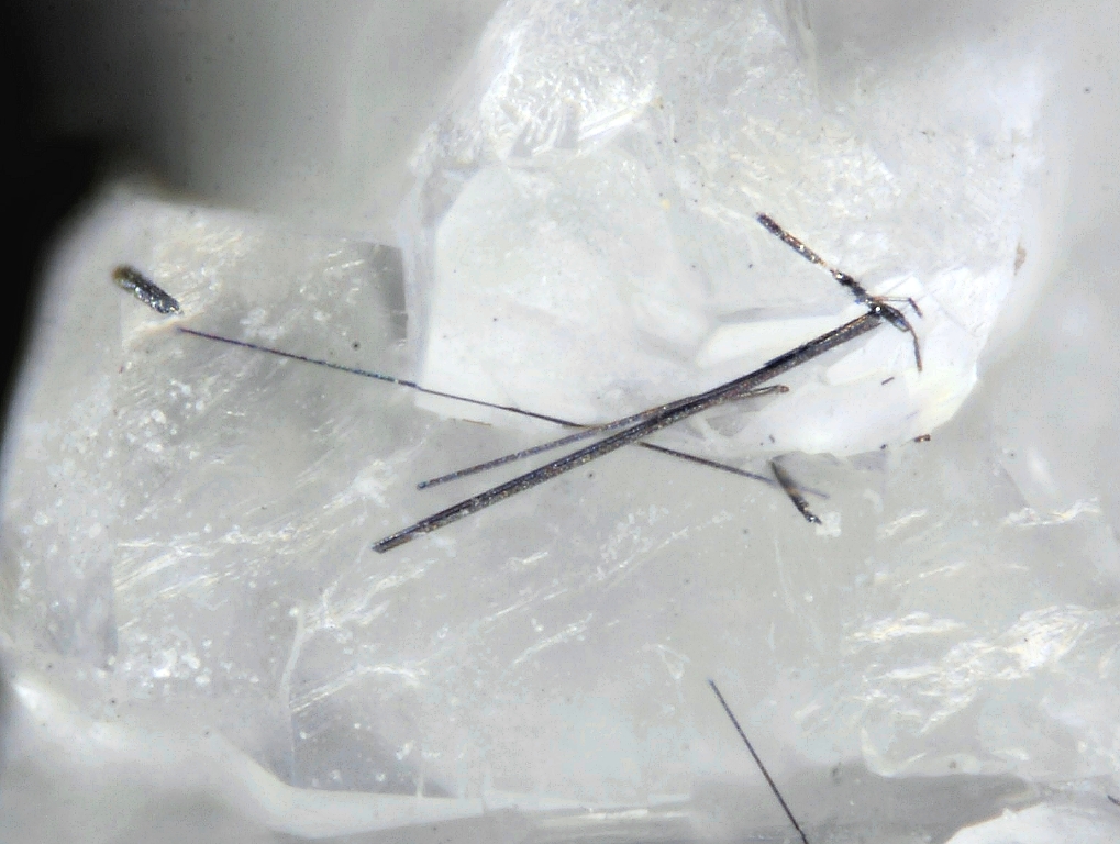 Bernarlottiite